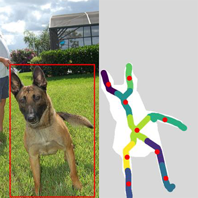 A Skeleton-Aware Graph Convolutional Network for Human-Object Interaction Detection